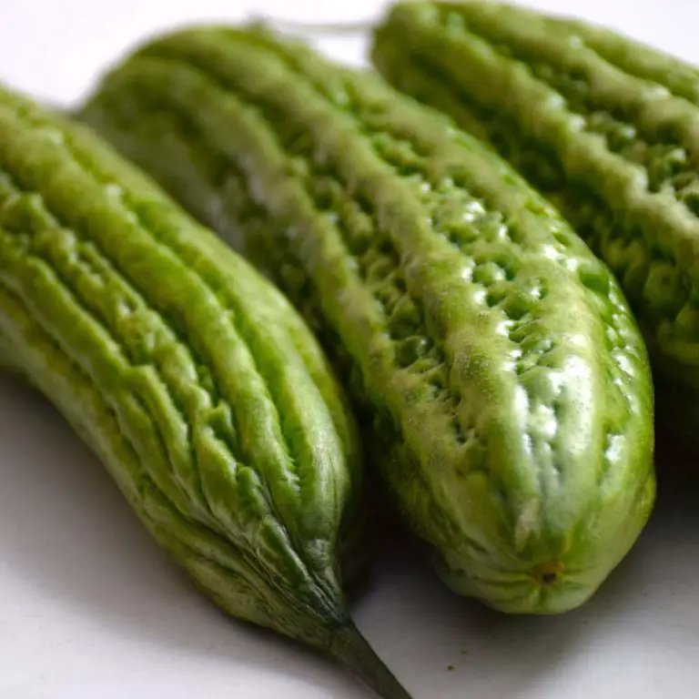 Ampalaya (Momordica charantia) 18 Benefits of Bitter Gourd Tea