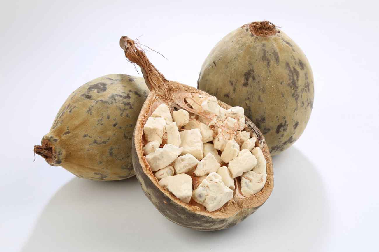 Baobab Tree Do its Benefits Make it the Best Super Fruit in History?