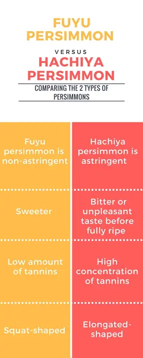 Fuyu Persimmon vs Hachiya Persimmon