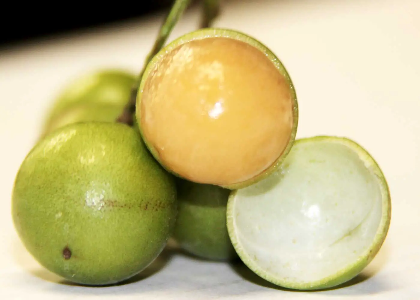 jamaican guinep fruit (spanish lime, mamoncillo): 7 health