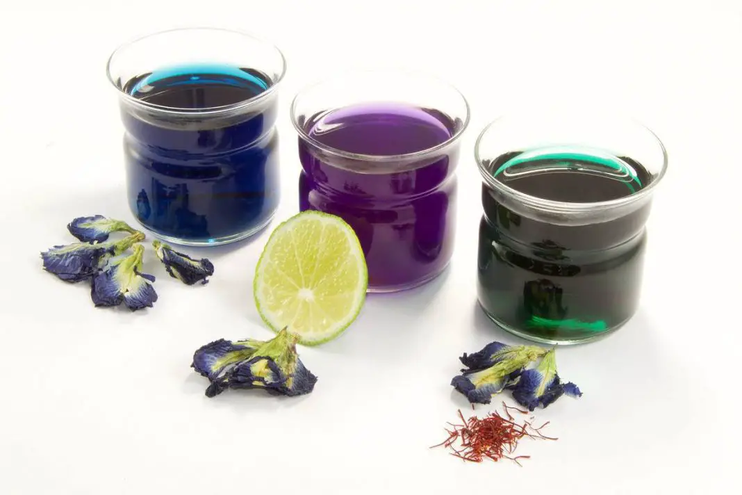 Butterfly Pea Flower Tea Are the Benefits as Good as the Taste?