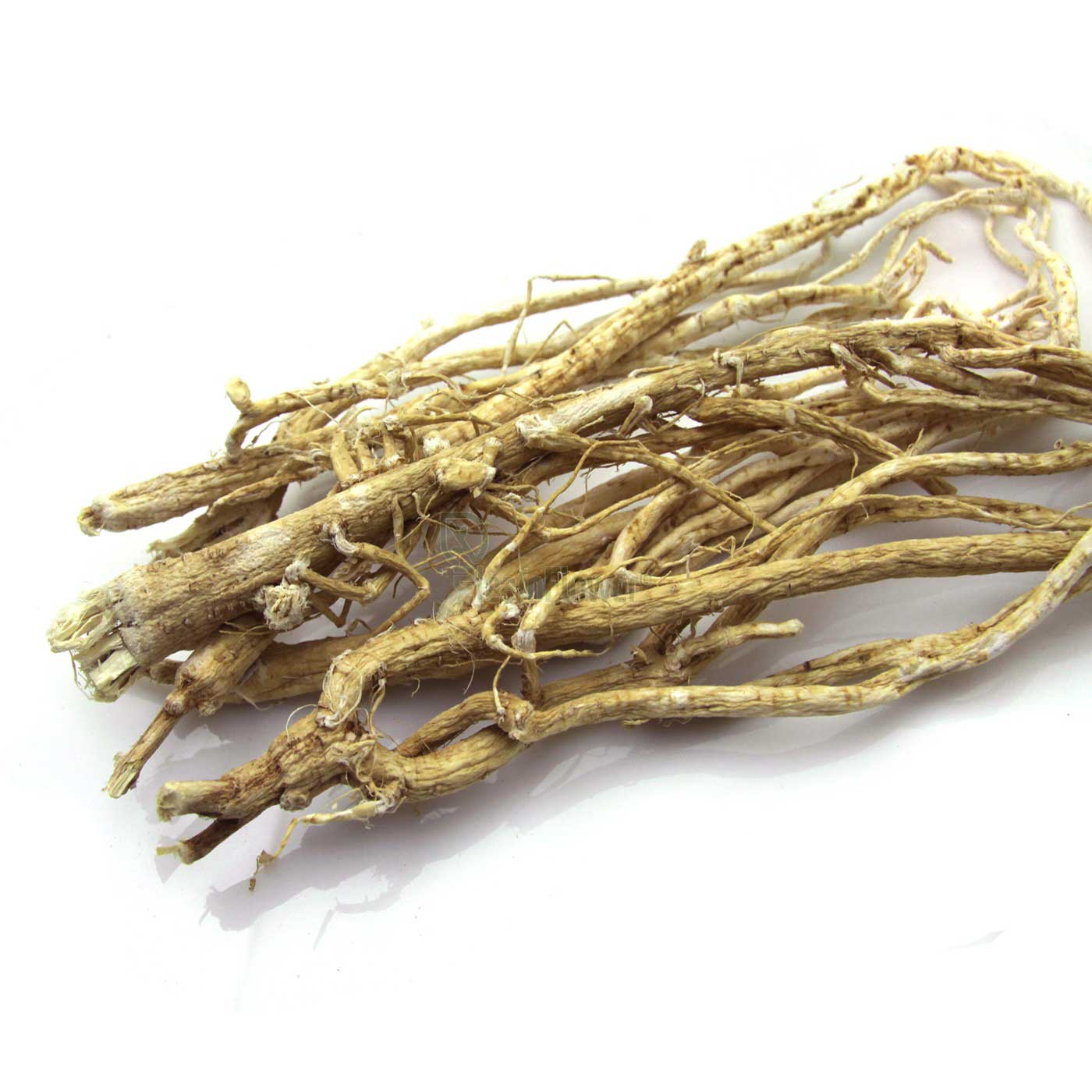 Huang Qi (Milkvetch, Radix Astragali) 14 Benefits of this TCM Root