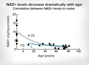 NAD Levels by Age