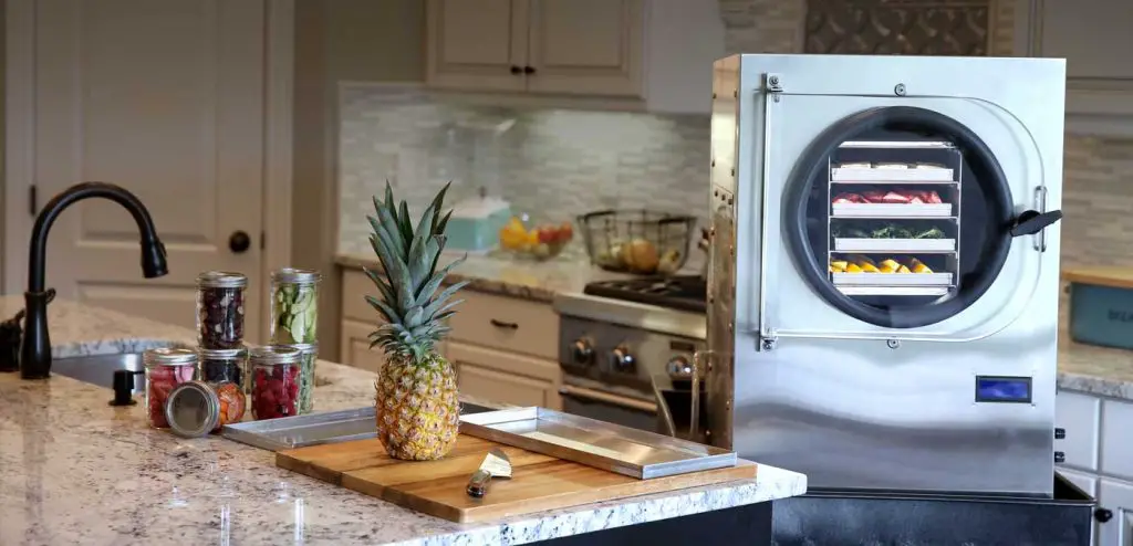 Best Freeze Dryer