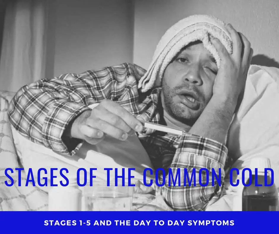 Stages of the Common Cold