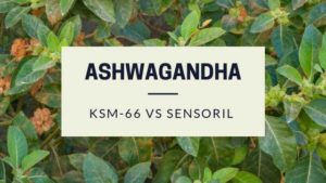 Ashwagandha KSM66 vs Sensoril