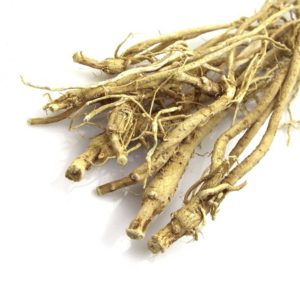 Astragalus root