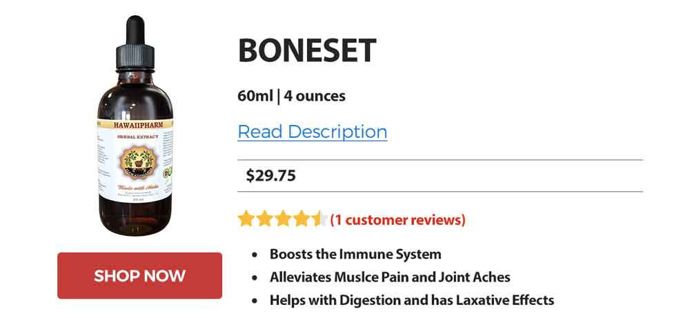 BUY BONESET