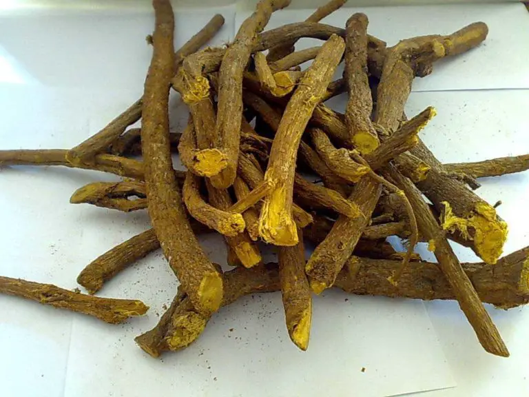 13 Best Natural Adaptogens for Low Cortisol, Stress and Adrenal Fatigue