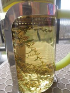 Mugwort Tea