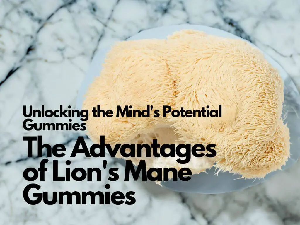 Lion's Mane Gummies